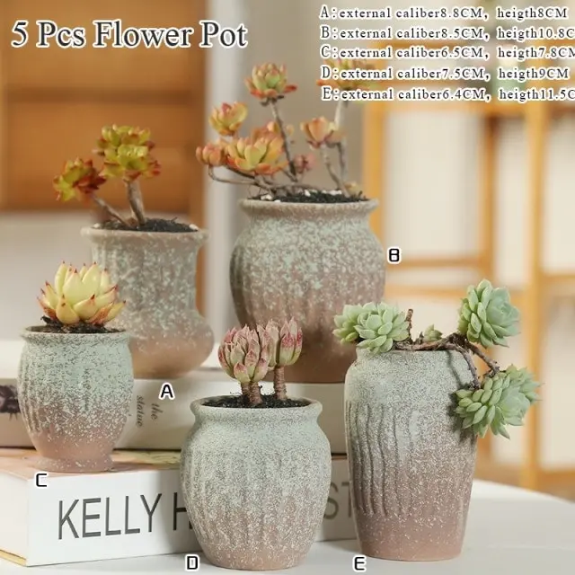 1-6pc Decorative Mini Ceramic Succulent Cactus Pots