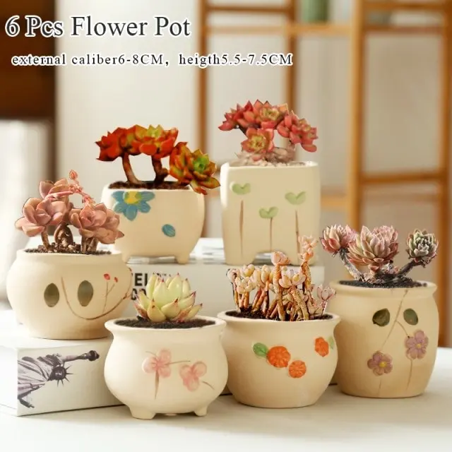 1-6pc Decorative Mini Ceramic Succulent Cactus Pots