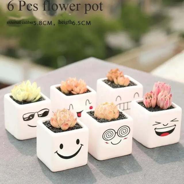 1-6pc Decorative Mini Ceramic Succulent Cactus Pots