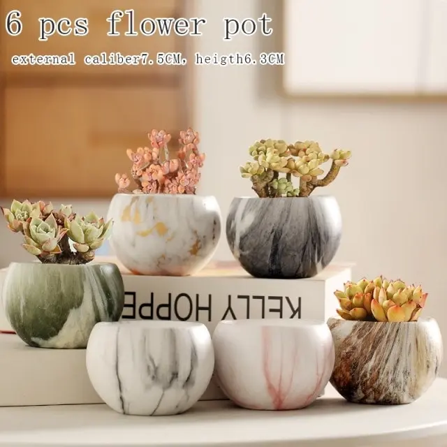 1-6pc Decorative Mini Ceramic Succulent Cactus Pots