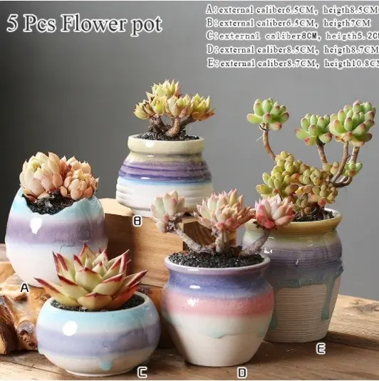 1-6pc Decorative Mini Ceramic Succulent Cactus Pots