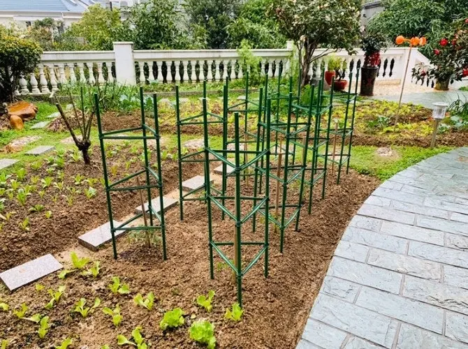 Tri-pod Plant Support Stakes Tomato Trellis, 10 sizes