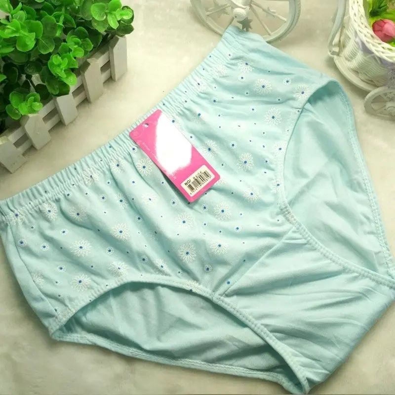 10pc Plus size women’s high waist, full brief floral panties up to 6XL