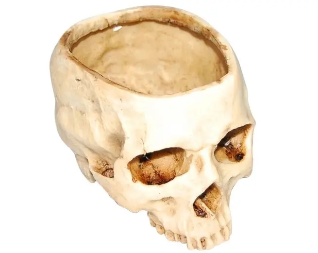 Human Skull Planter Pot Garden Décor Flower Succulent Pot