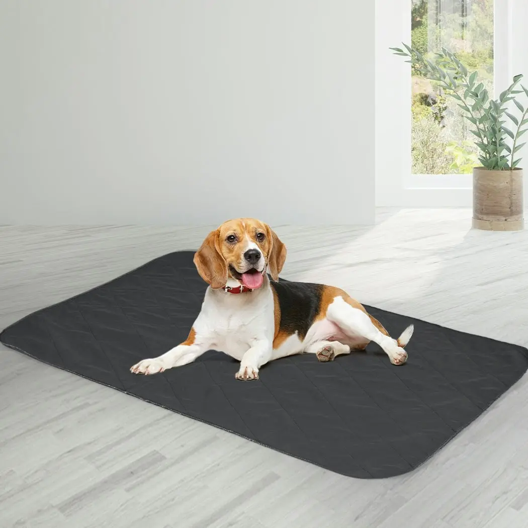 Pawz 4x Washable Dog Puppy Training Pad Pee Puppy Reusable Cushion XL Grey