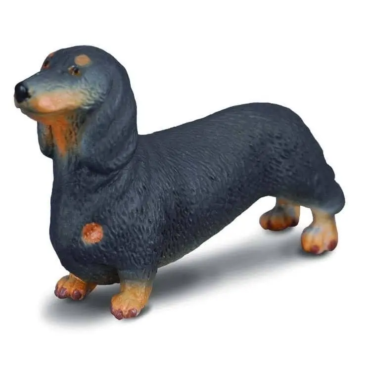 Collecta - Dachshund Dog Animal Figurine