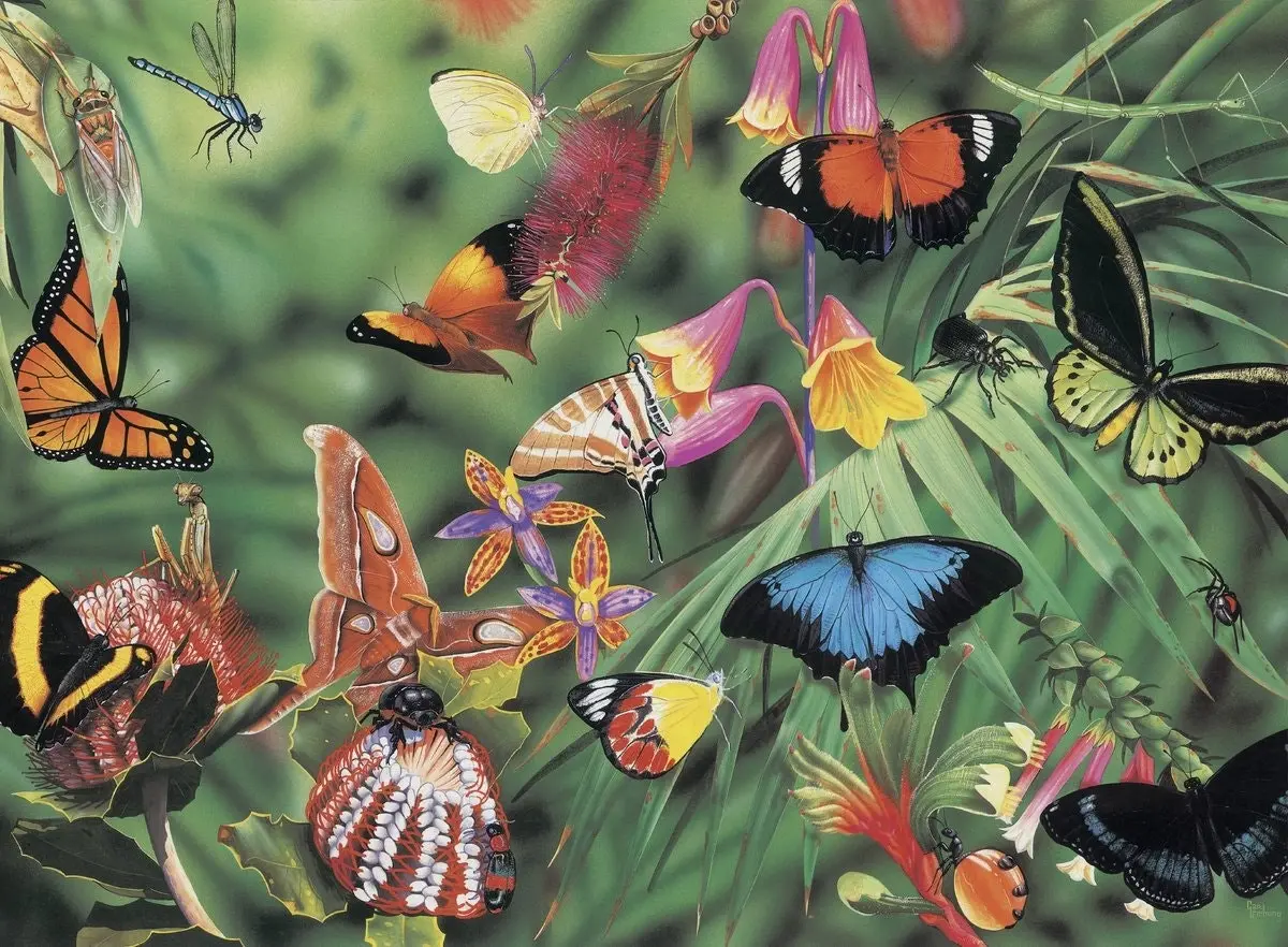 Blue Opal - Wild Australia Butterflies & Beetles Jigsaw Puzzle 100 Pieces