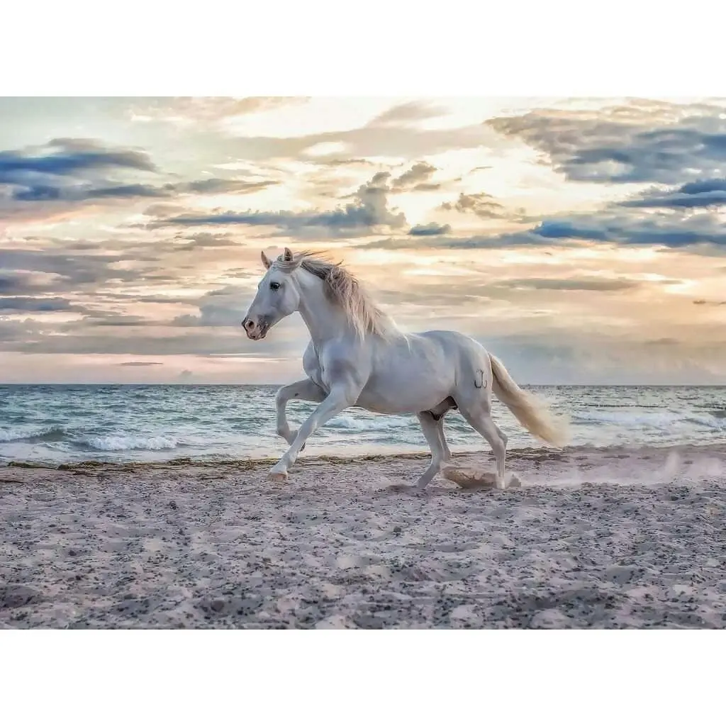 Ravensburger - Evening Gallop Horse On The Beach Jigsaw Puzzle 500 Pieces