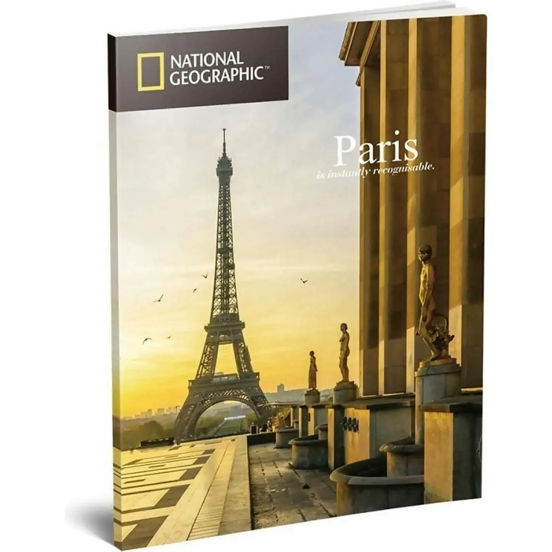 U Games - National Geographic Paris – Notre Dame 3d Puzzle 128pc