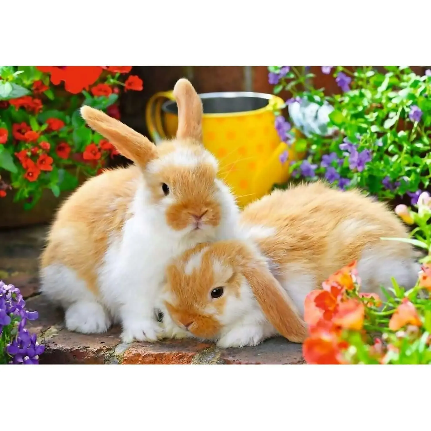 Ravensburger - Guinea Pig & Bunnies Jigsaw Puzzle 2 x 12pc