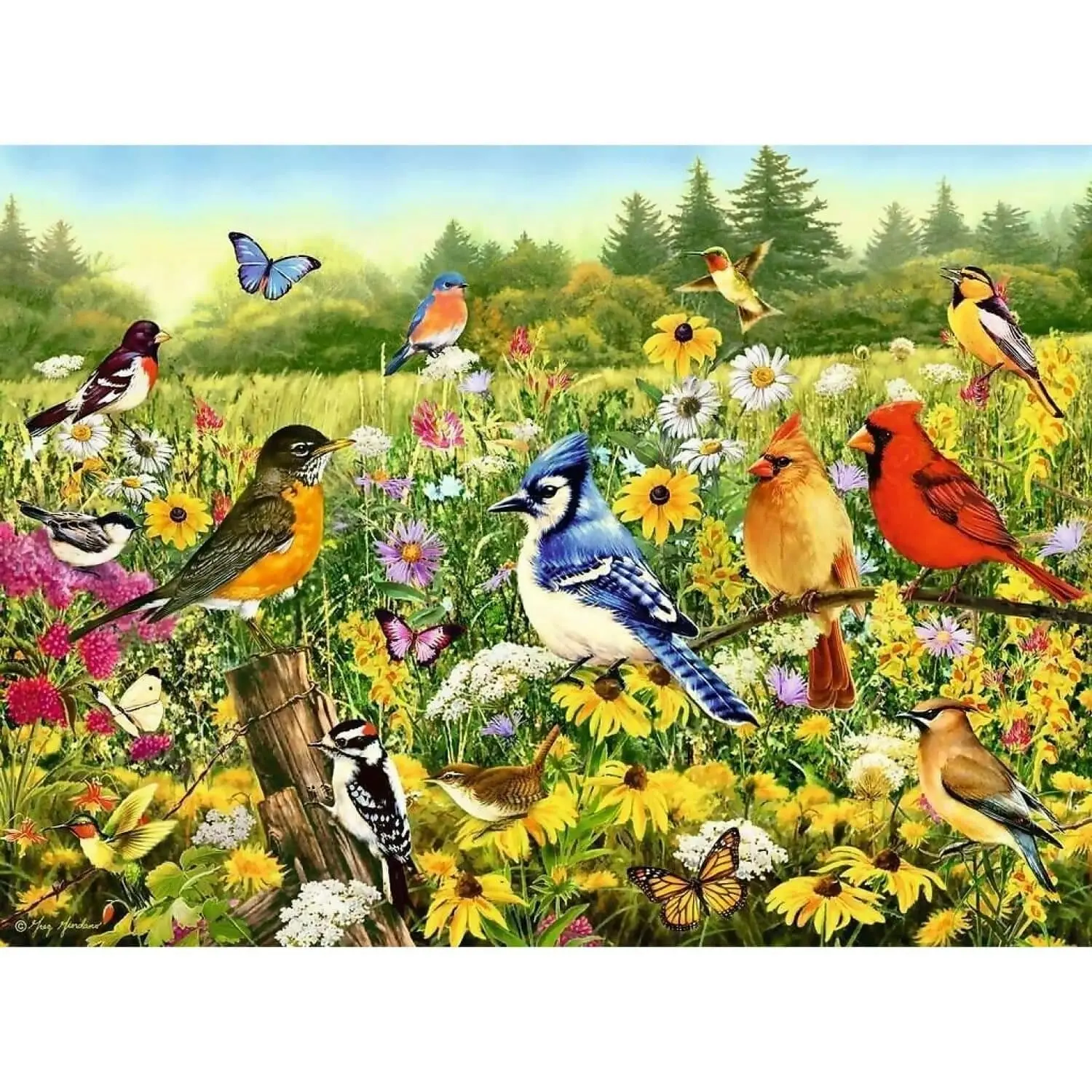 Ravensburger - Birds In The Meadows Jigsaw Puzzle 500pc