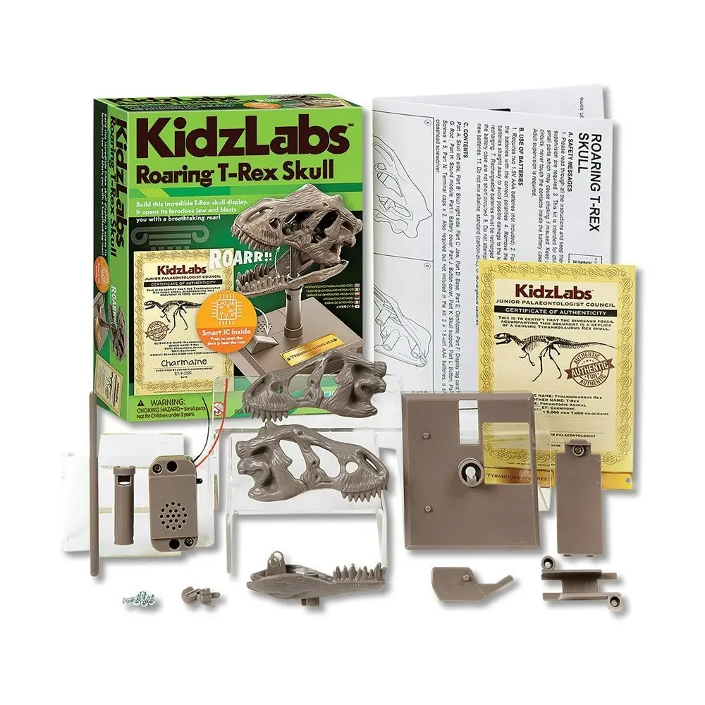 4M - KidzLabs - Roaring T-Rex Skull