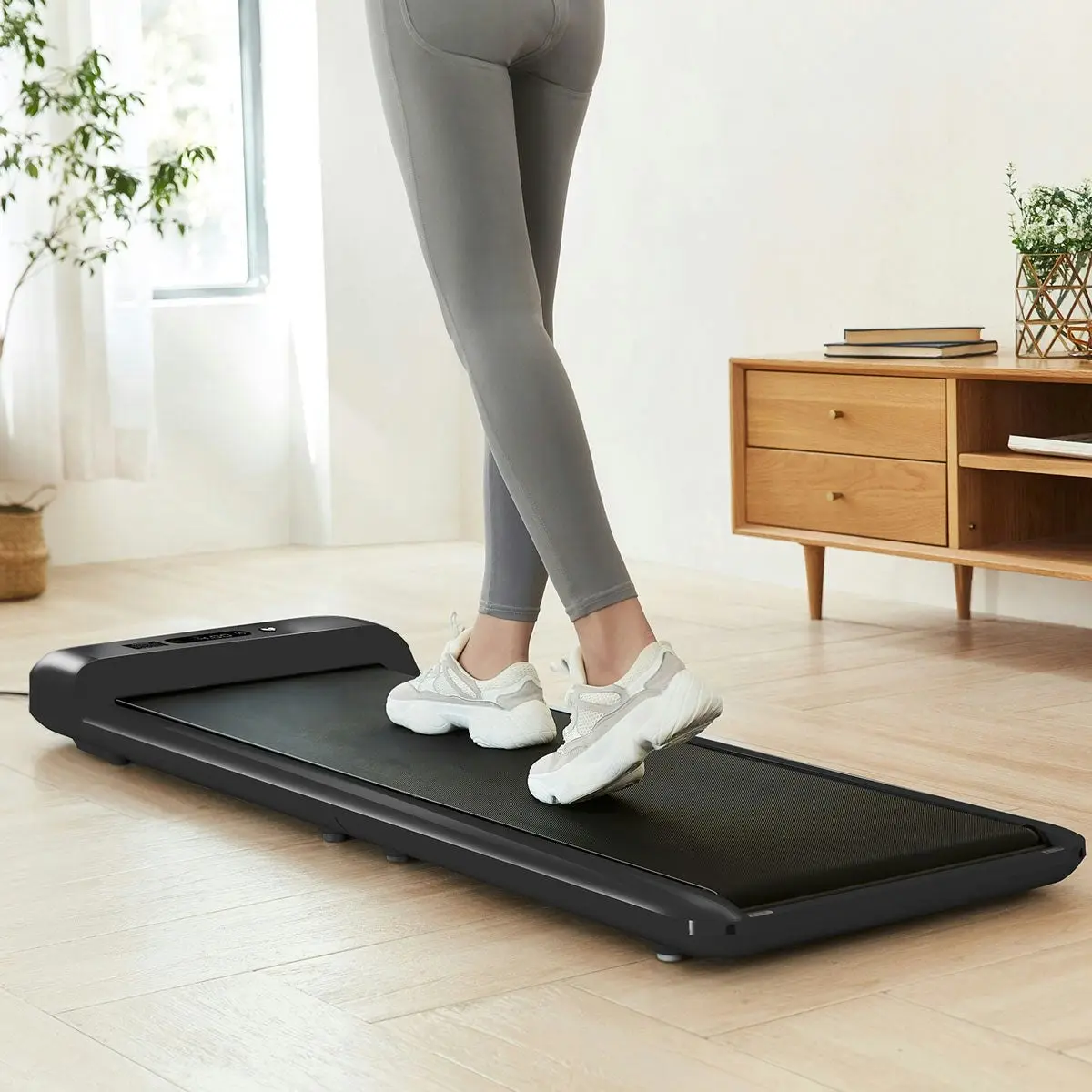 Lifespan Fitness WalkingPad™ M2 Treadmill