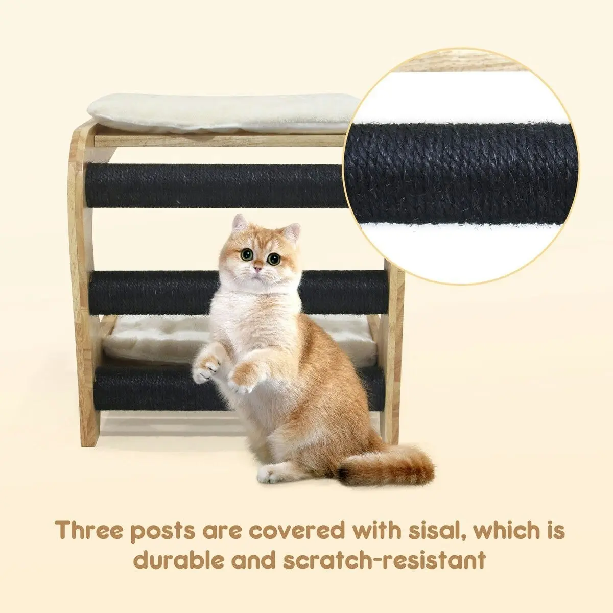 Pet Scene Cat Scratching Post Toy Bed Kitten Scratcher Couch Stool Scratchboard Lounger Pet Wooden Furniture Sofa Chair Play Gym Tower Tree Pad Cushion