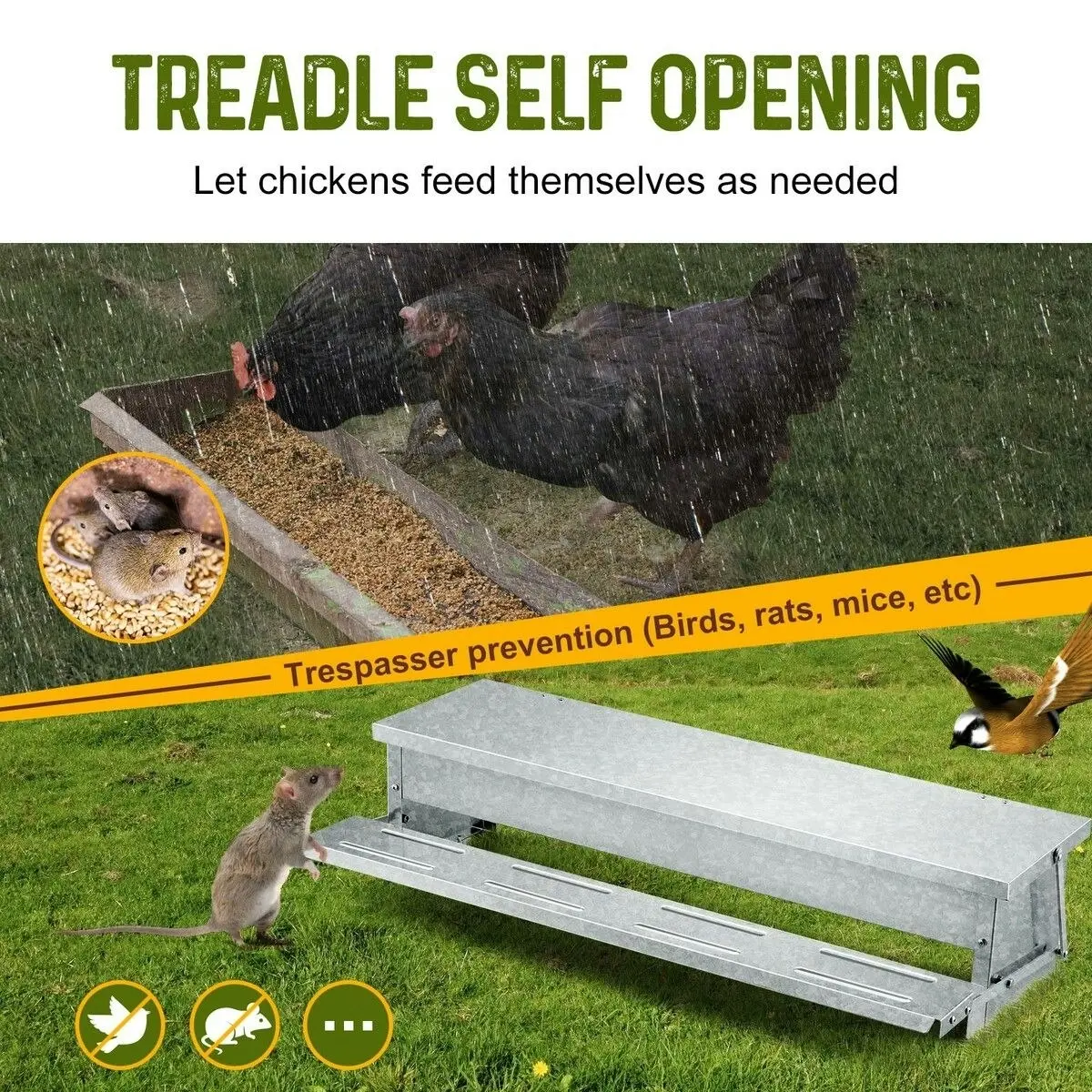 Pet Scene Auto Chicken Feeder 11.5L Poultry Feeding Equipment Rat Bird Proof Hen Duck Chook Petscene