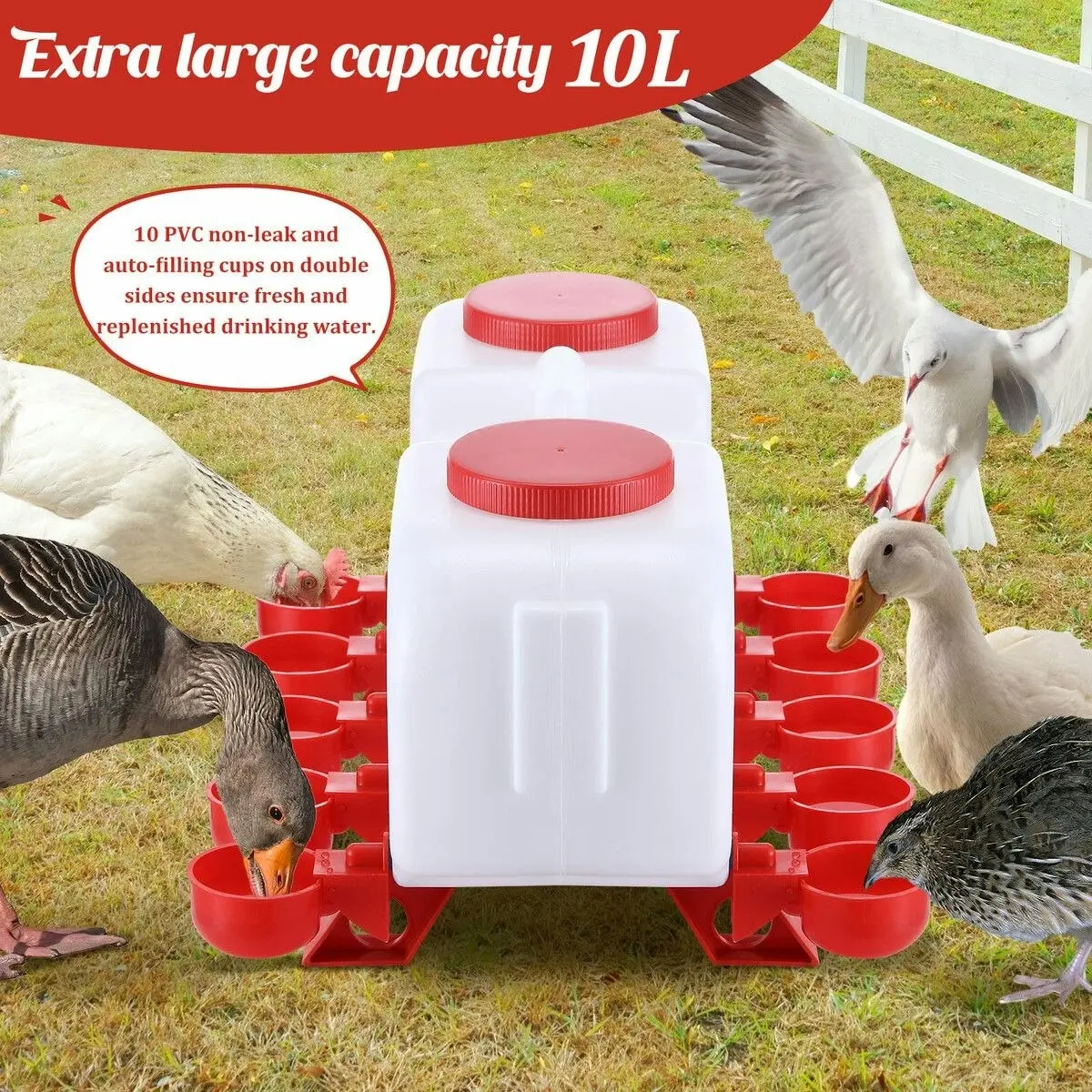 Pet Scene Chicken Bird Water Feeder Auto Chick Waterer Automatic Poultry Dispenser Drinker Hen Watering System Chook Gravity Fed 10L