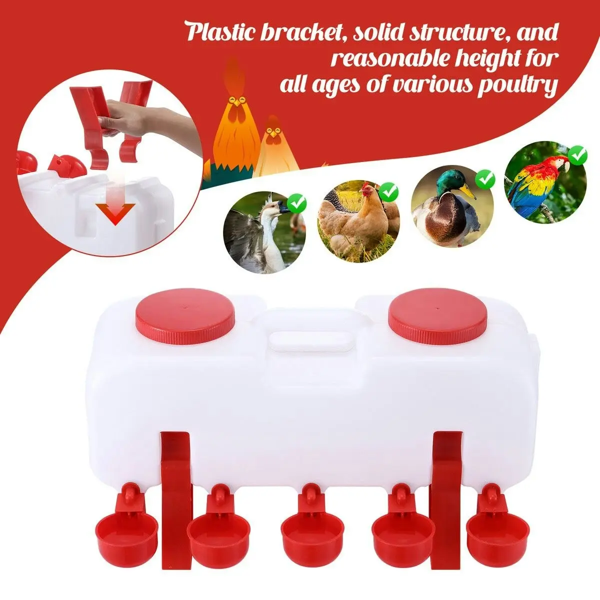 Pet Scene Chicken Bird Water Feeder Auto Chick Waterer Automatic Poultry Dispenser Drinker Hen Watering System Chook Gravity Fed 10L