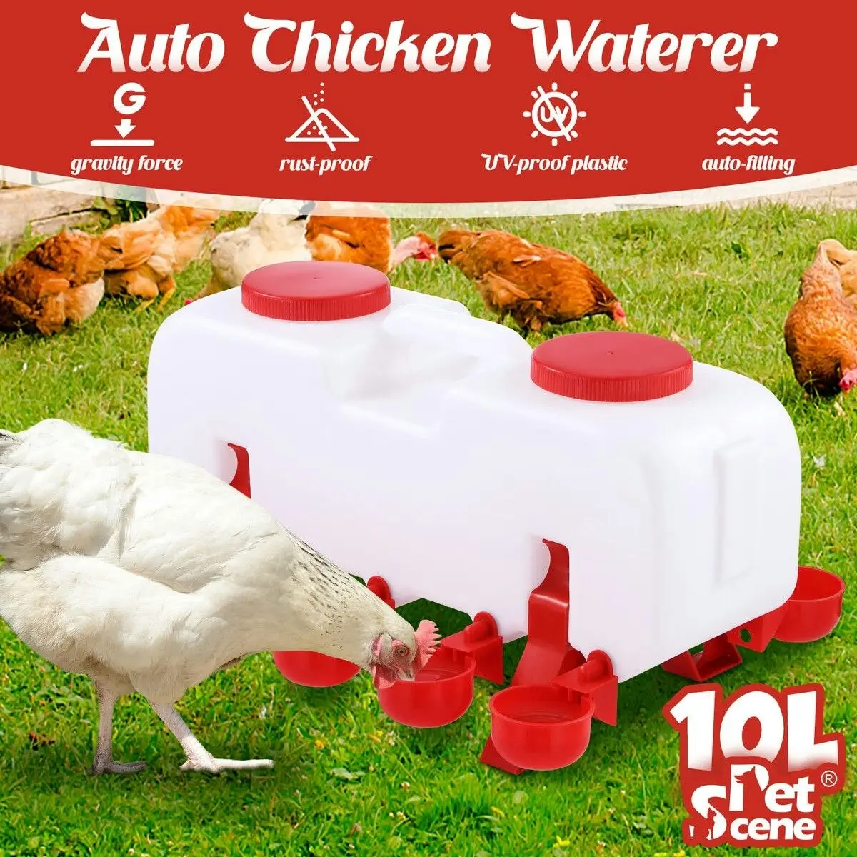 Pet Scene Chicken Bird Water Feeder Auto Chick Waterer Automatic Poultry Dispenser Drinker Hen Watering System Chook Gravity Fed 10L