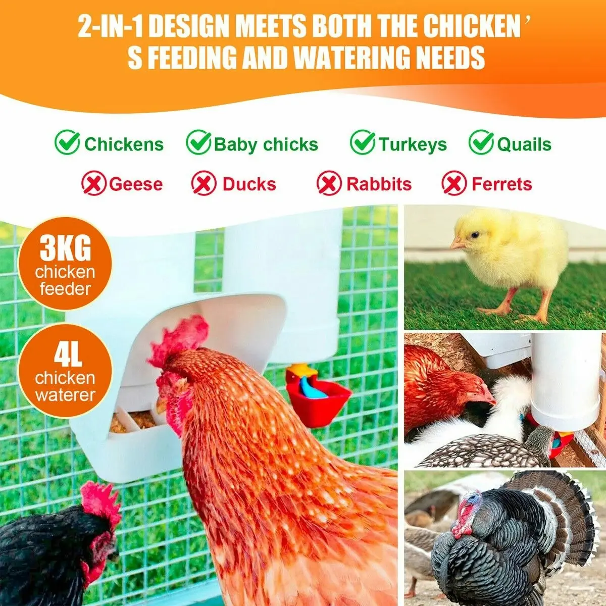 Pet Scene Chicken Bird Feeder Waterer Set Automatic Water Dispenser Poultry Coop 3KG Food 4L Drinker Kit Auto Aviary Chook Chick Hen Quail Drinking Cup