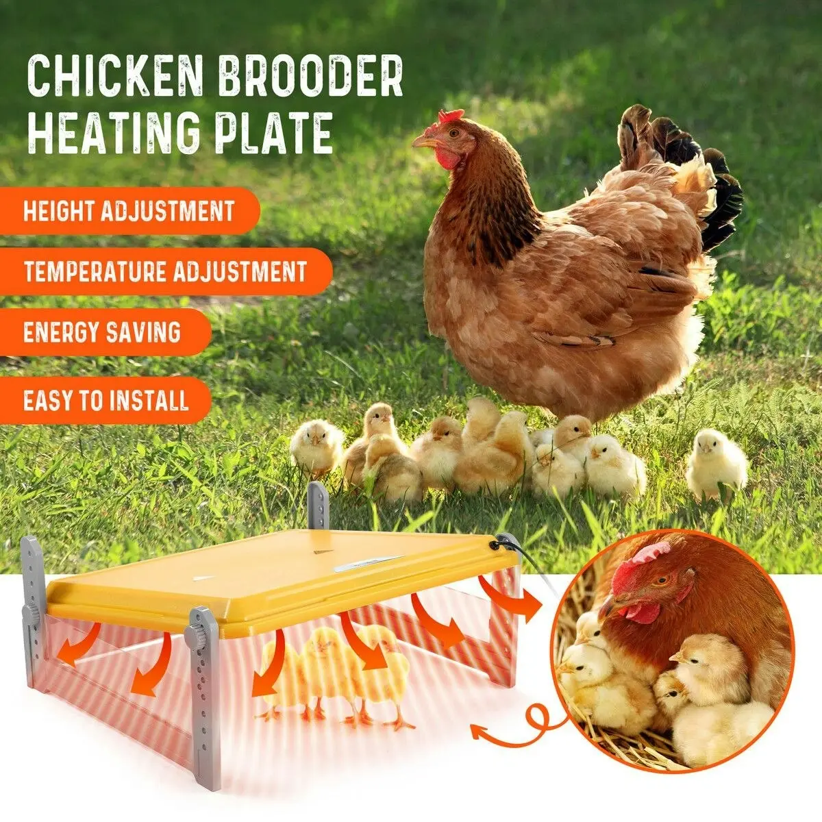 Pet Scene Chick Brooder Heating Plate Chicken Chook Heater Coop Adjustable Poultry Duck Quail Brooding Warmer for 40 to 50 Chicks