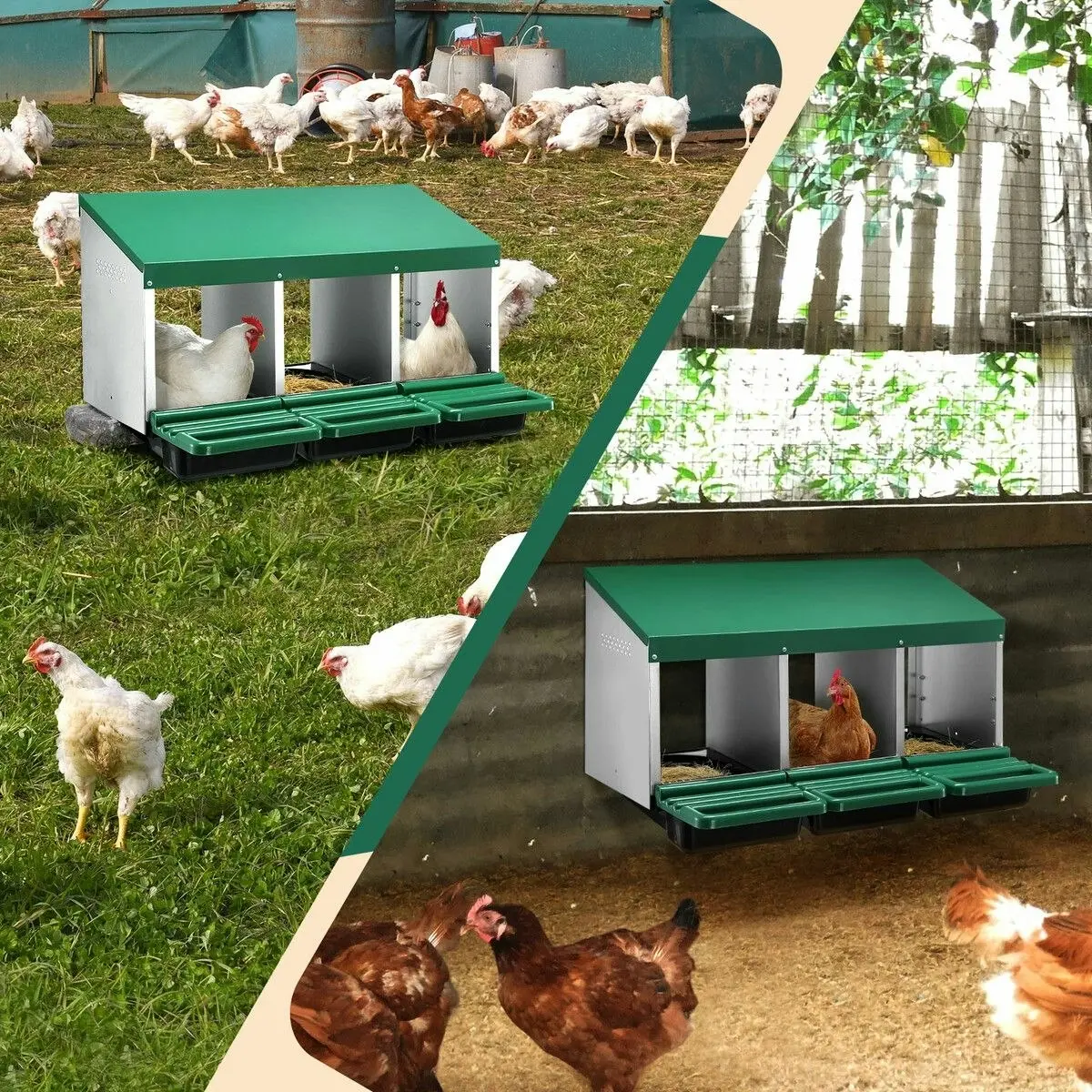 Pet Scene 3 Hole Chicken Nesting Box Hen Chook Roll Away Laying Nest Boxes Brooder Coop Poultry Egg Roost Perch Galvanised Steel Plastic with Vents Lid