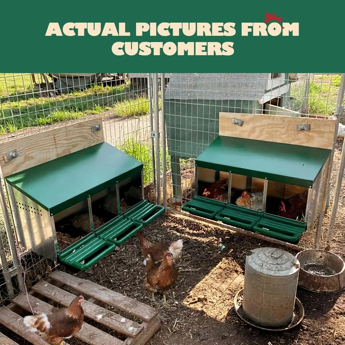 Pet Scene 3 Hole Chicken Nesting Box Hen Chook Roll Away Laying Nest Boxes Brooder Coop Poultry Egg Roost Perch Galvanised Steel Plastic with Vents Lid