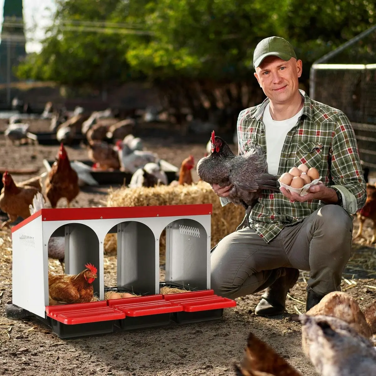 Pet Scene 3 Hole Chicken Nesting Box Hen Roll Away Laying Boxes Chook Nest Brooder Poultry Egg Coop Roost Perch Galvanised Steel Plastic with Vents Lid