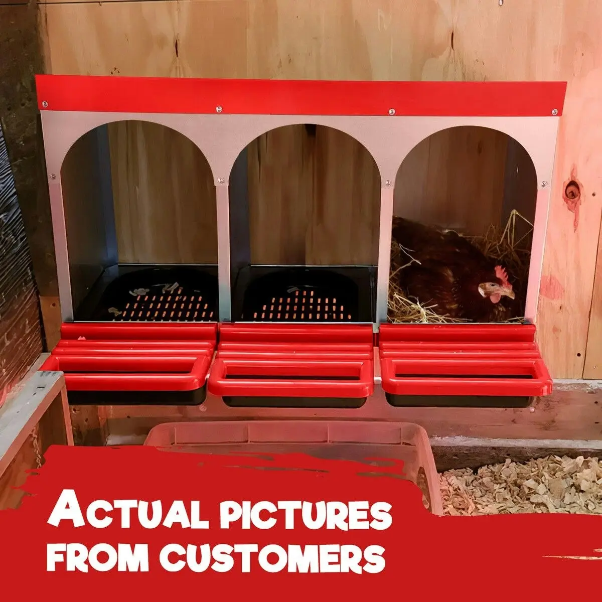 Pet Scene 3 Hole Chicken Nesting Box Hen Roll Away Laying Boxes Chook Nest Brooder Poultry Egg Coop Roost Perch Galvanised Steel Plastic with Vents Lid