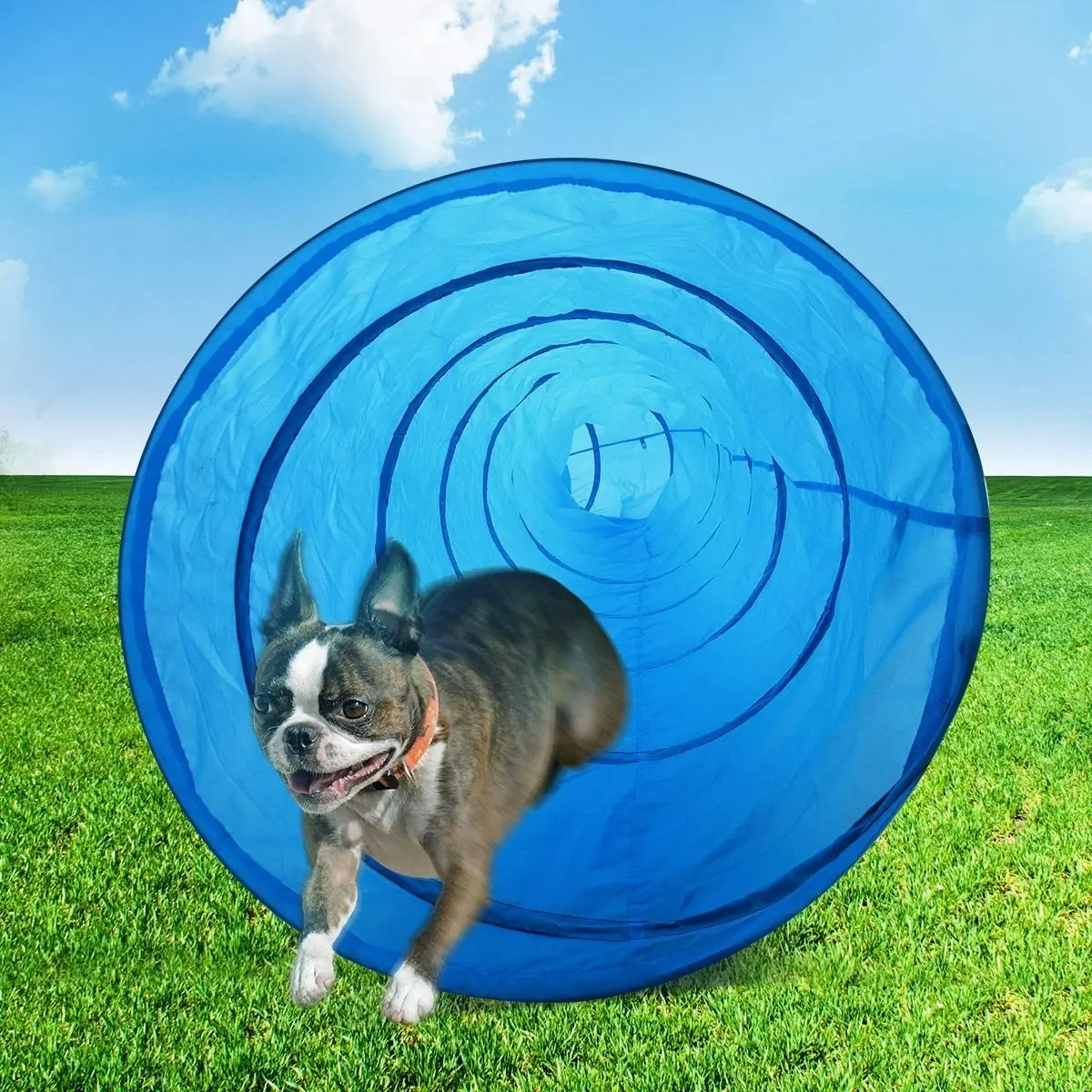 Pet Scene Easy packed Dog Training Tunnel with Portable Bag 5.5M