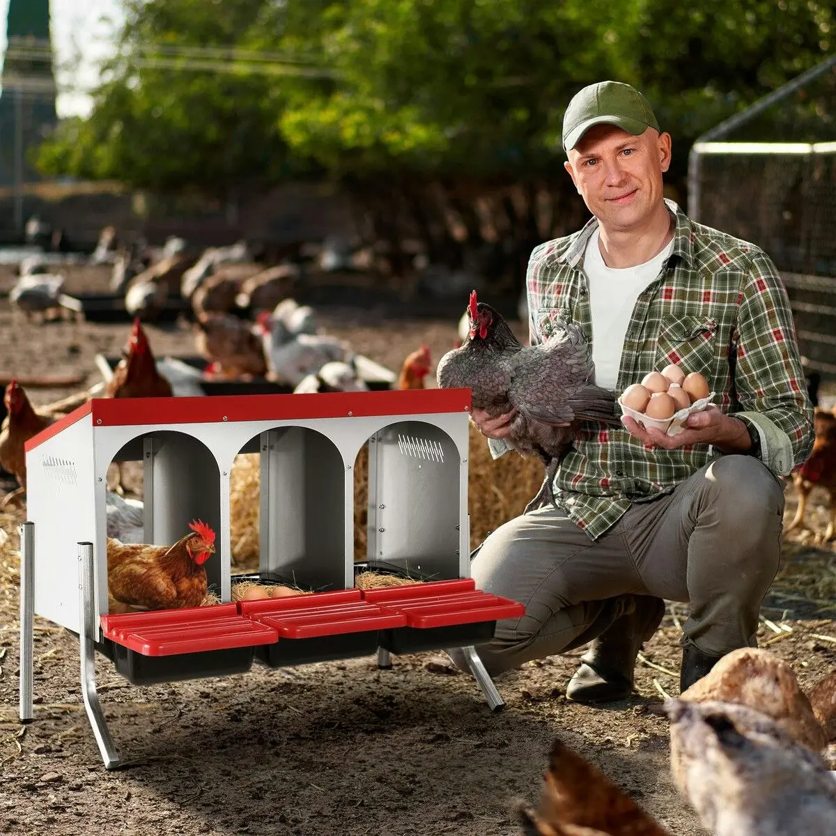 Pet Scene 3 Hole Chicken Nesting Box Roll Away Hen Chook Laying Boxes Poultry Nest Brooder Coop Egg Roost Perch Galvanised Steel Plastic with Stand