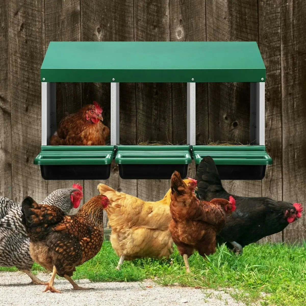 Pet Scene 3 Hole Chicken Nesting Box Roll Away Hen Laying Boxes Chook Poultry Egg Nest Brooder Coop Roost Perch Galvanised Steel Plastic with Stand