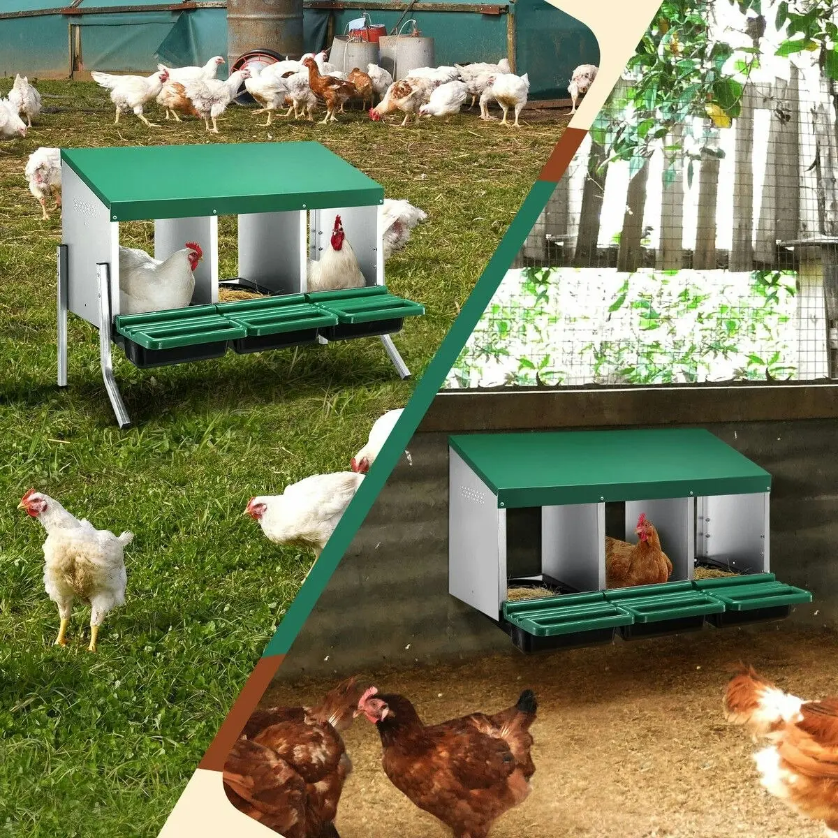 Pet Scene 3 Hole Chicken Nesting Box Roll Away Hen Laying Boxes Chook Poultry Egg Nest Brooder Coop Roost Perch Galvanised Steel Plastic with Stand