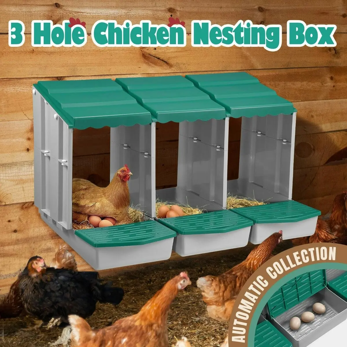 Pet Scene 3 Hole Chicken Nesting Box Chook Hen Roll Away Laying Boxes Poultry Modular House Egg Coop Nest Perch Plastic