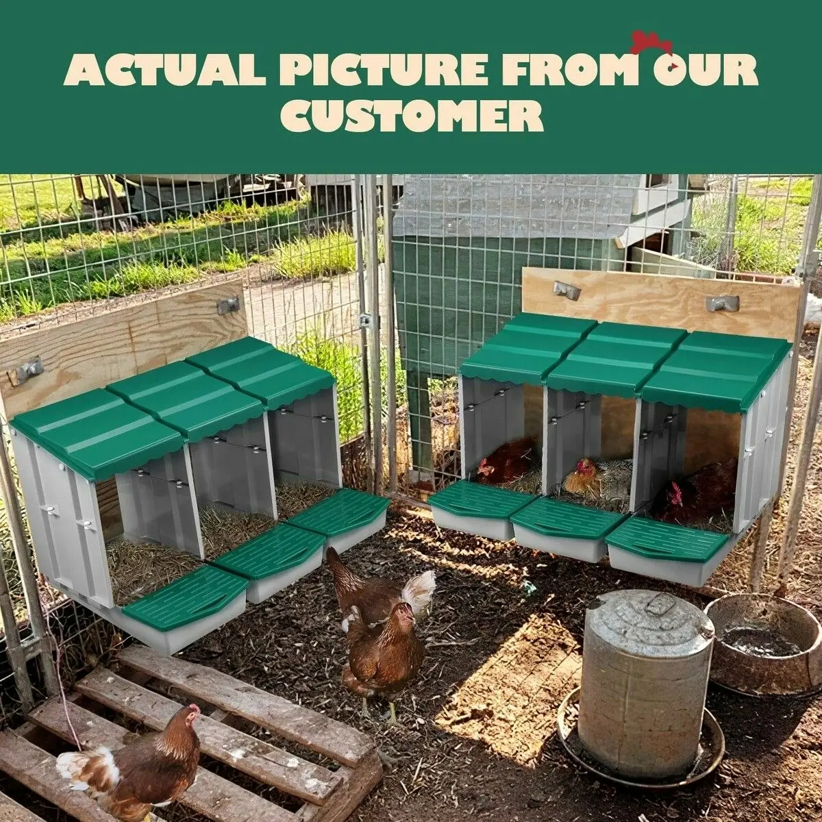 Pet Scene 3 Hole Chicken Nesting Box Chook Hen Roll Away Laying Boxes Poultry Modular House Egg Coop Nest Perch Plastic