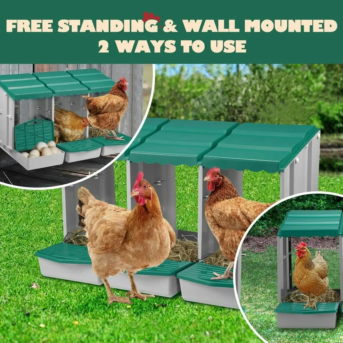 Pet Scene 3 Hole Chicken Nesting Box Chook Hen Roll Away Laying Boxes Poultry Modular House Egg Coop Nest Perch Plastic