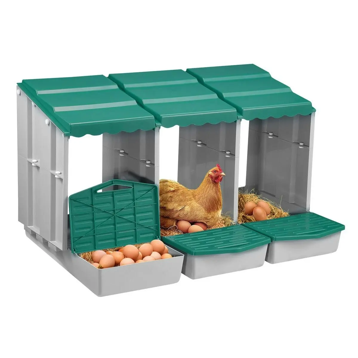 Pet Scene 3 Hole Chicken Nesting Box Chook Hen Roll Away Laying Boxes Poultry Modular House Egg Coop Nest Perch Plastic