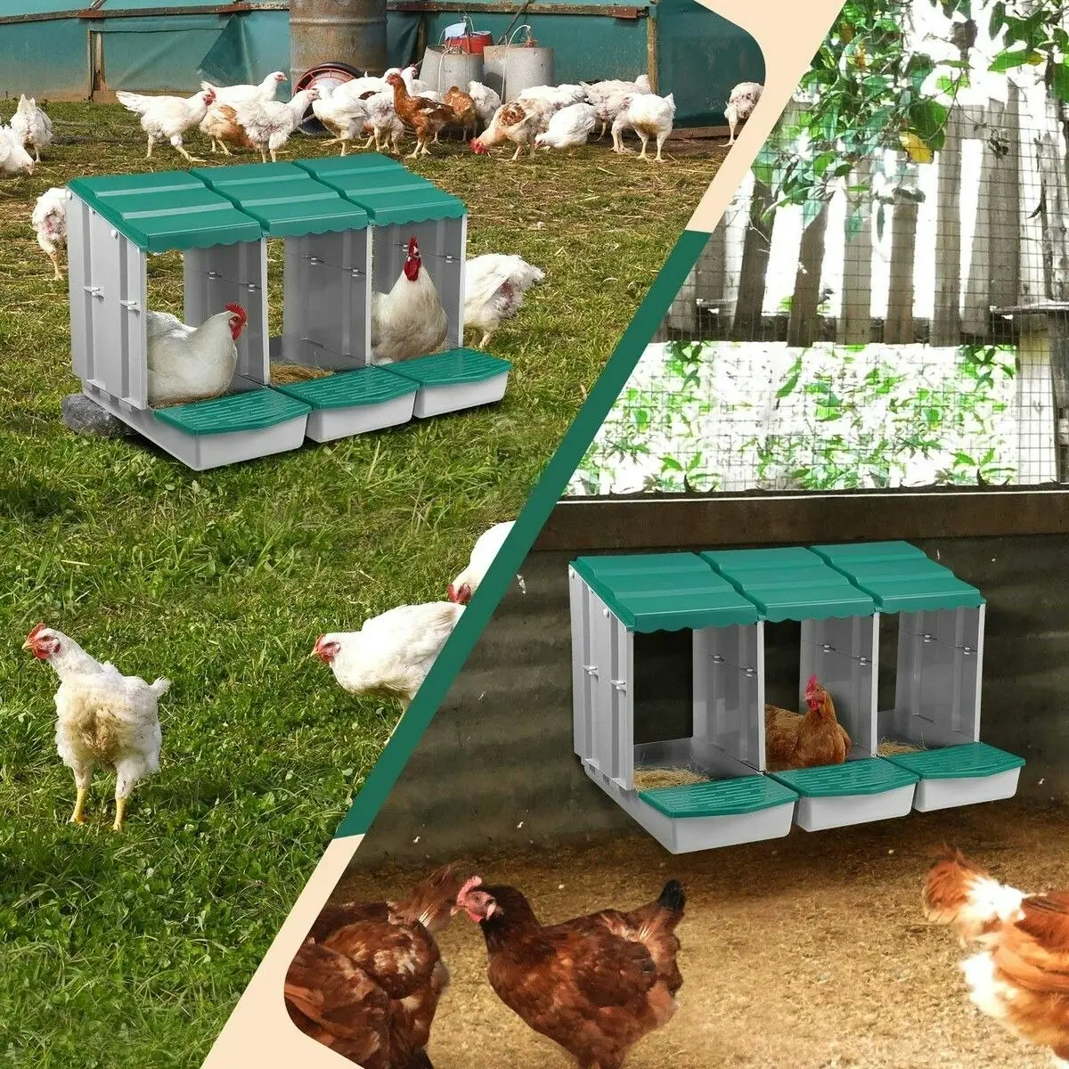 Pet Scene 3 Hole Chicken Nesting Box Chook Hen Roll Away Laying Boxes Poultry Modular House Egg Coop Nest Perch Plastic