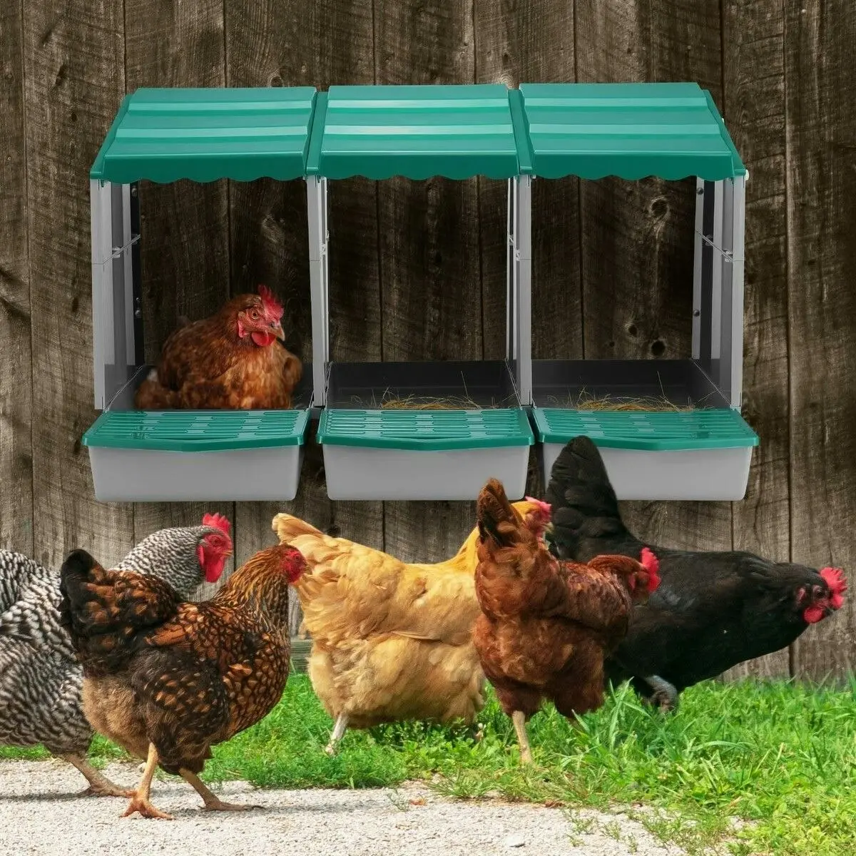 Pet Scene 3 Hole Chicken Nesting Box Chook Hen Roll Away Laying Boxes Poultry Modular House Egg Coop Nest Perch Plastic