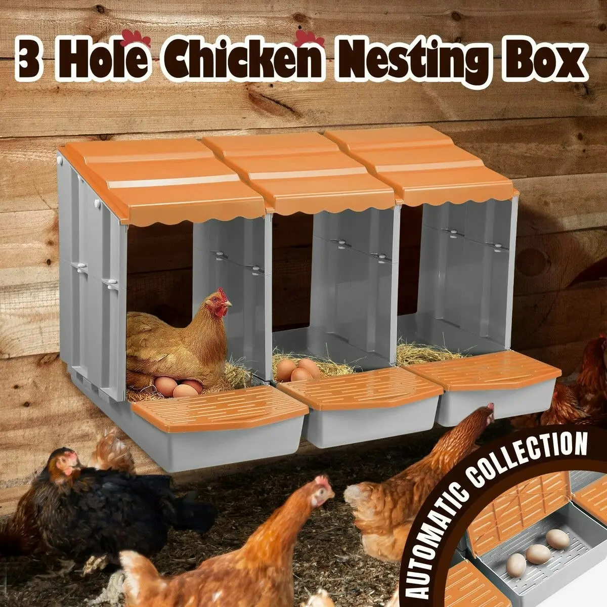 Pet Scene 3 Hole Chicken Nesting Box Hen Chook Roll Away Modular Laying Boxes Poultry Perch Egg Coop Nest House Plastic