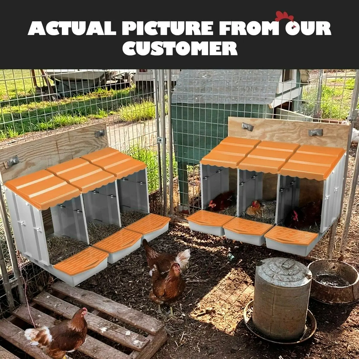 Pet Scene 3 Hole Chicken Nesting Box Hen Chook Roll Away Modular Laying Boxes Poultry Perch Egg Coop Nest House Plastic