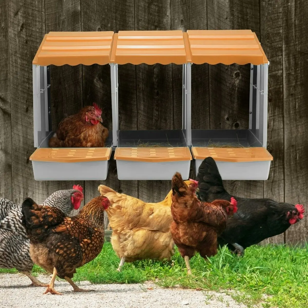 Pet Scene 3 Hole Chicken Nesting Box Hen Chook Roll Away Modular Laying Boxes Poultry Perch Egg Coop Nest House Plastic