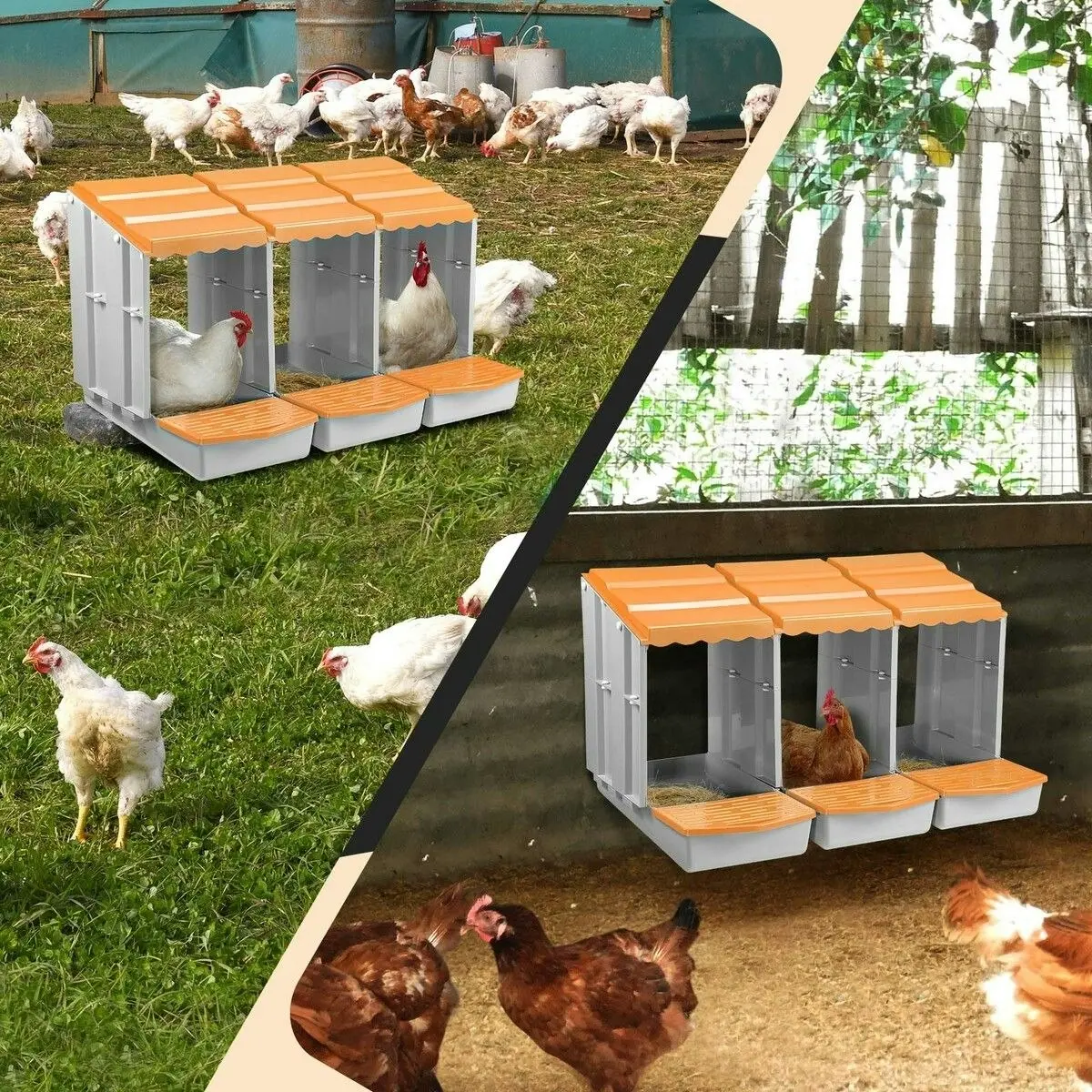 Pet Scene 3 Hole Chicken Nesting Box Hen Chook Roll Away Modular Laying Boxes Poultry Perch Egg Coop Nest House Plastic