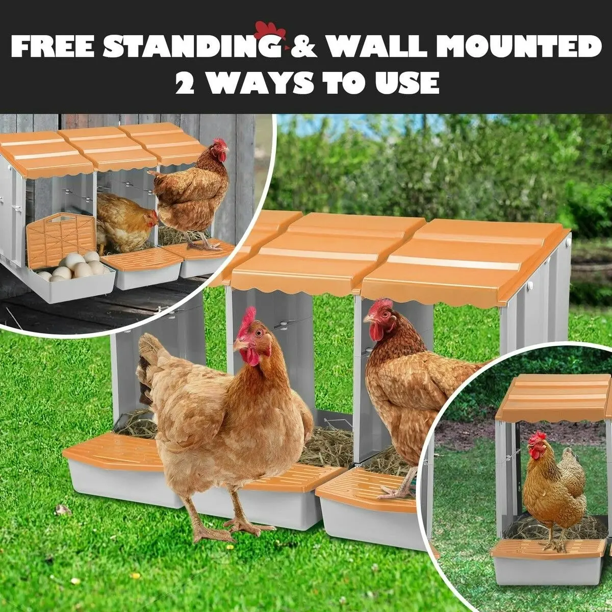 Pet Scene 3 Hole Chicken Nesting Box Hen Chook Roll Away Modular Laying Boxes Poultry Perch Egg Coop Nest House Plastic