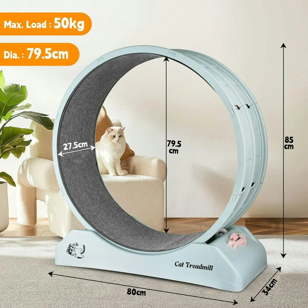 Pet Scene Cat Wheel Running Toy Exerciser Fitness Workout Treadmill Machine Indoor Feline Spinning Walking Training Circle Plastic