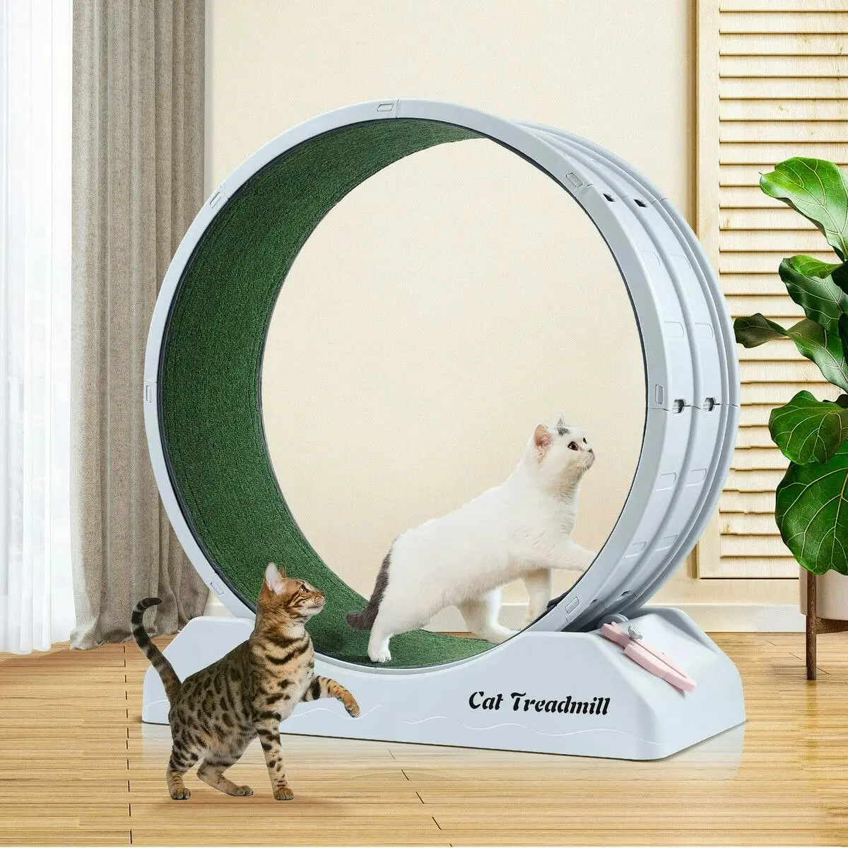 Pet Scene Cat Wheel Running Toy Exerciser Fitness Workout Treadmill Machine Indoor Feline Spinning Walking Training Circle Plastic