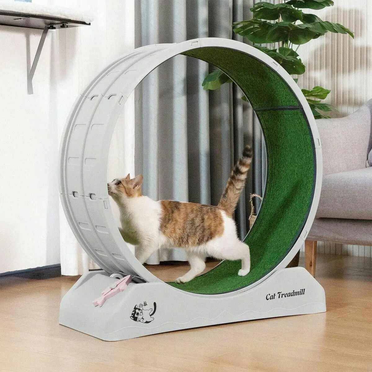 Pet Scene Cat Wheel Running Toy Exerciser Fitness Workout Treadmill Machine Indoor Feline Spinning Walking Training Circle Plastic