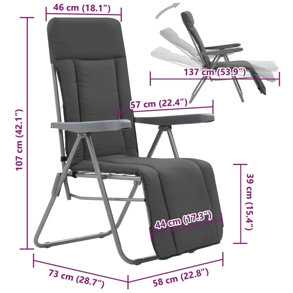 Folding Garden Chairs with Cushions 2 pcs Grey 44320