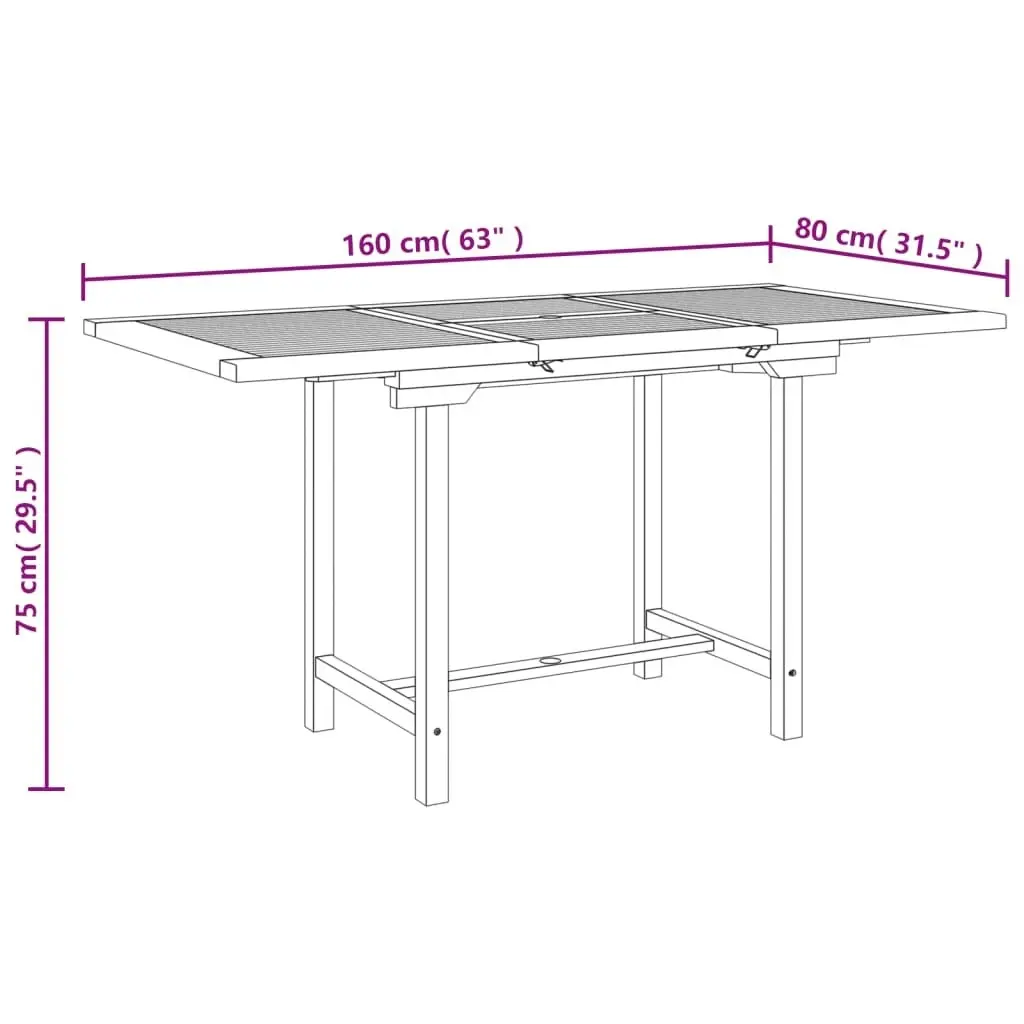 Extending Garden Table 110-160x80x75cm Solid Wood Teak 363487