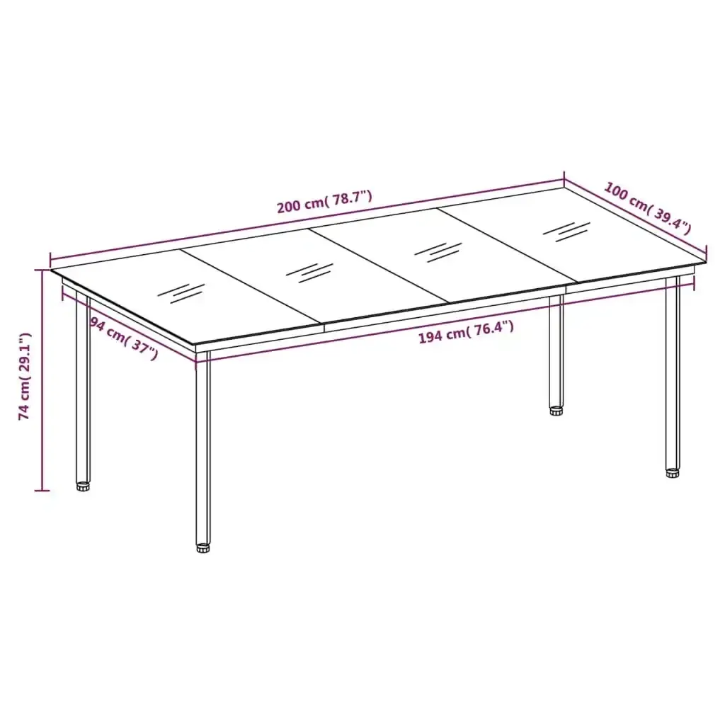 Garden Dining Table Black 200x100x74 cm Steel and Glass 3100107