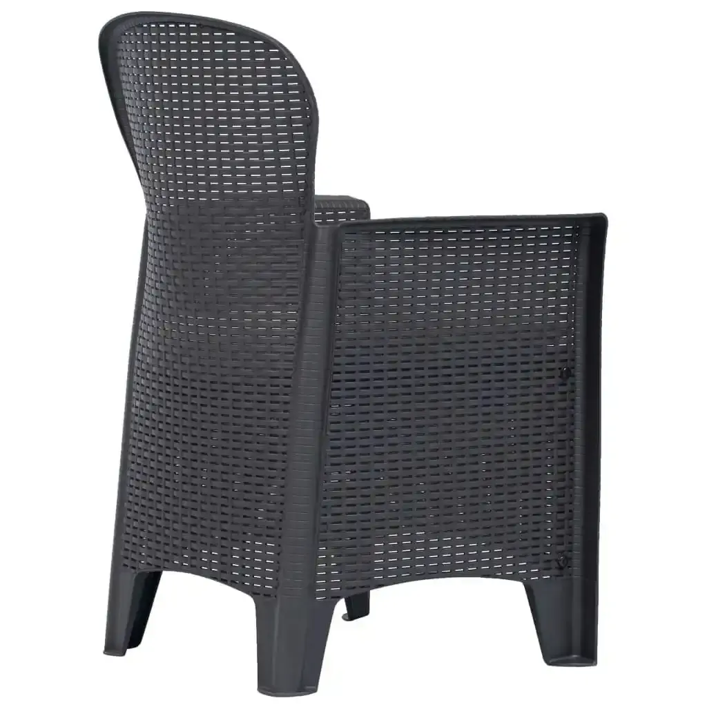 Garden Chair 2 pcs with Cushion Brown Plastic Rattan Look 45600